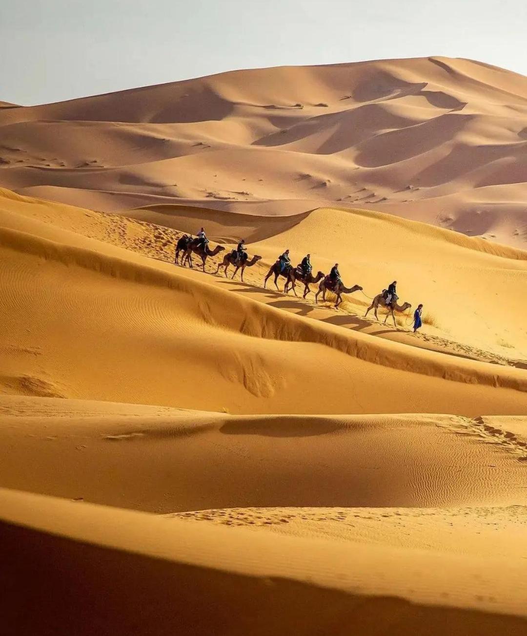Khamlia Luxury Desert Camp مرزوكة المظهر الخارجي الصورة